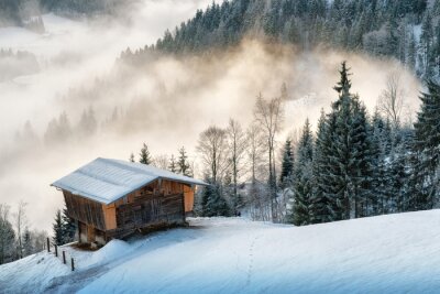 Besneeuwd huisje in de bergen