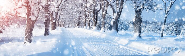 Fotobehang Besneeuwde steeg op een heldere dag