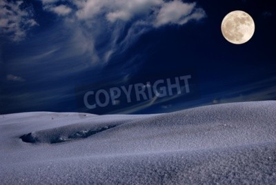 Fotobehang Bevroren landschap en maan