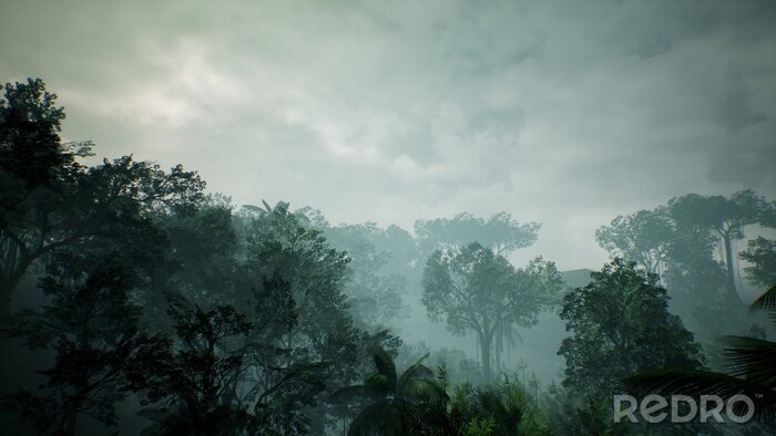 Fotobehang Bewolkte lucht boven de jungle