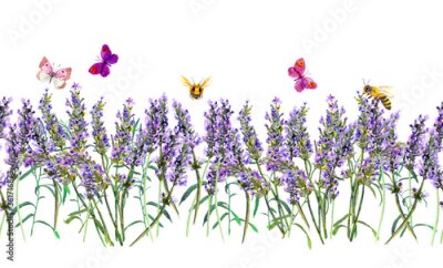 Fotobehang Bijen en vlinders boven de lavendeltakjes