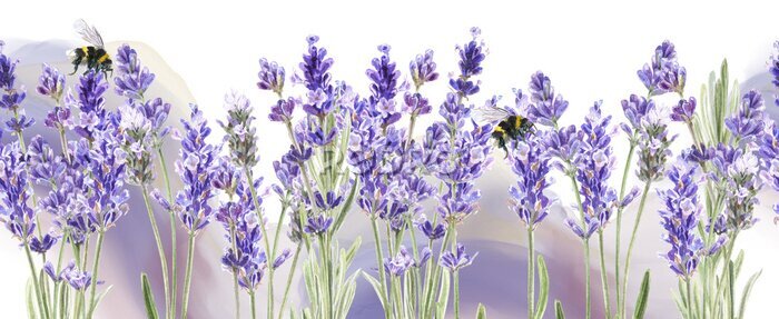 Fotobehang Bijen op lavendelbloemen