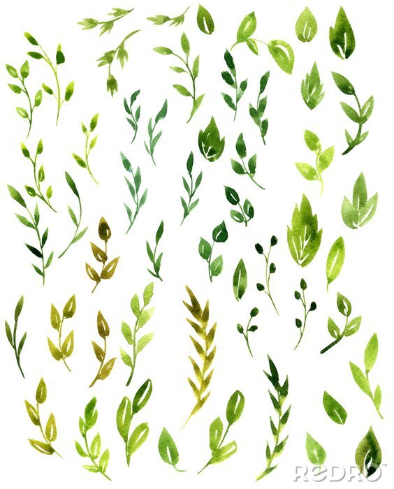 Fotobehang Bladeren van bomen