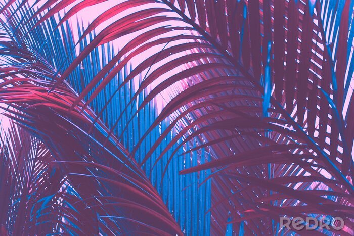 Fotobehang Bladeren van tropische planten in blauwviolette kleuren