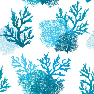 Fotobehang Blauw koraalrif