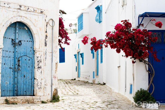 Fotobehang Blauwe deuren, ramen en witte muur van het gebouw in Sidi Bou Said
