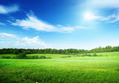Fotobehang Blauwe lucht boven het gras