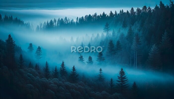 Fotobehang Blauwe mist over het bos