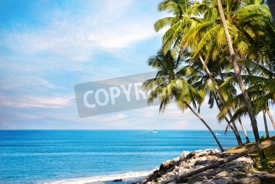 Fotobehang Blauwe oceaan en tropen