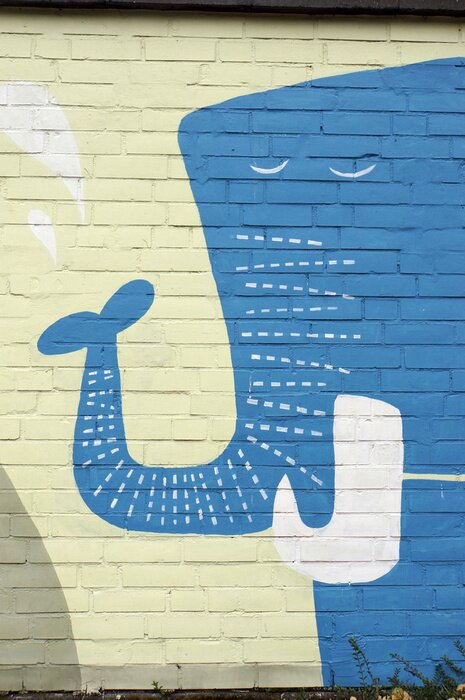 Fotobehang Blauwe olifant op graffiti