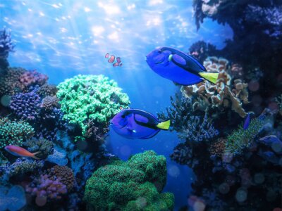 Fotobehang Blauwe vissen op koraalrif