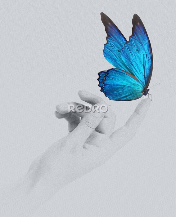 Fotobehang Blauwe vlinder aan de kant
