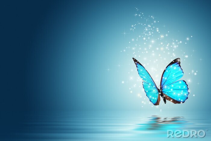 Fotobehang Blauwe vlinder boven het water