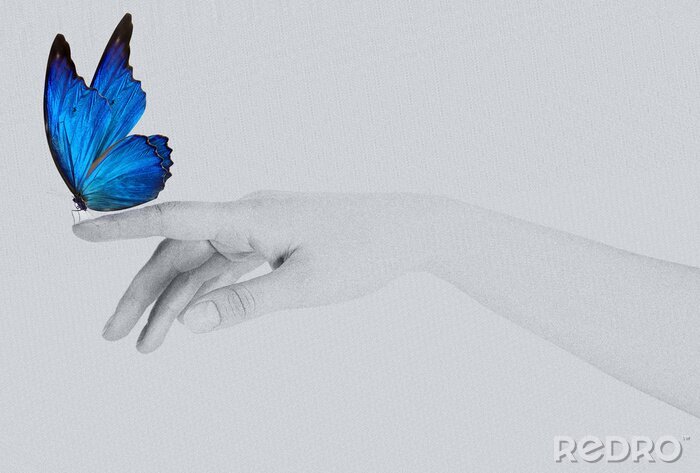 Fotobehang Blauwe vlinder neergestreken op een handpalm