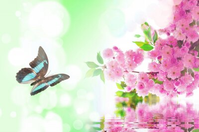 Fotobehang Blauwe vlinder tussen roze bloemen