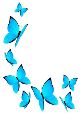 Fotobehang Blauwe vlinder voor meisjes