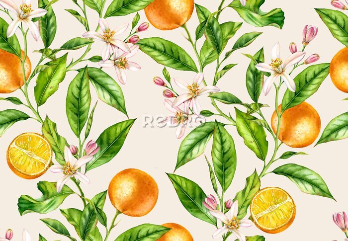 Fotobehang Bloeiende en vruchtdragende sinaasappel