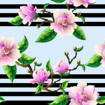 Bloeiende magnolia en strepen