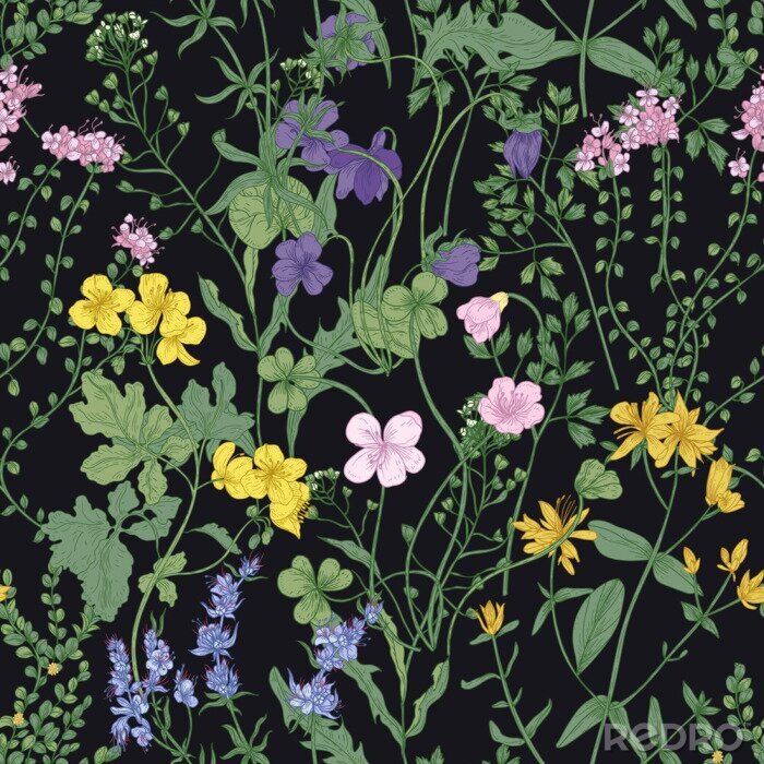 Fotobehang Bloeiende weide op een zwarte achtergrond