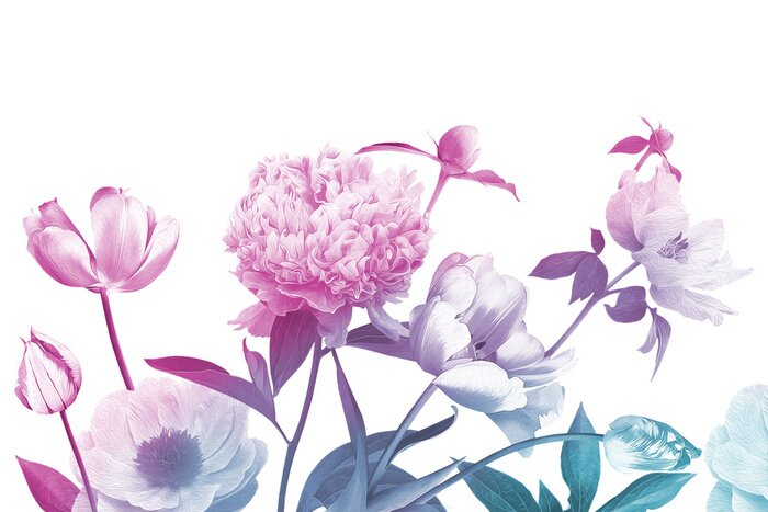 Fotobehang Bloemen bloeien in de zomer