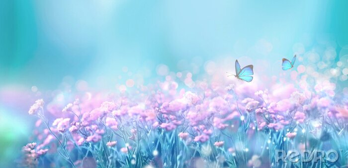 Fotobehang Bloemen de lente natuurlijk landschap met wilde roze lila bloemen op weide en fladderende vlinders op blauwe hemelachtergrond. Dromerig zacht lucht artistiek beeld. Soft focus, auteur verwerking.