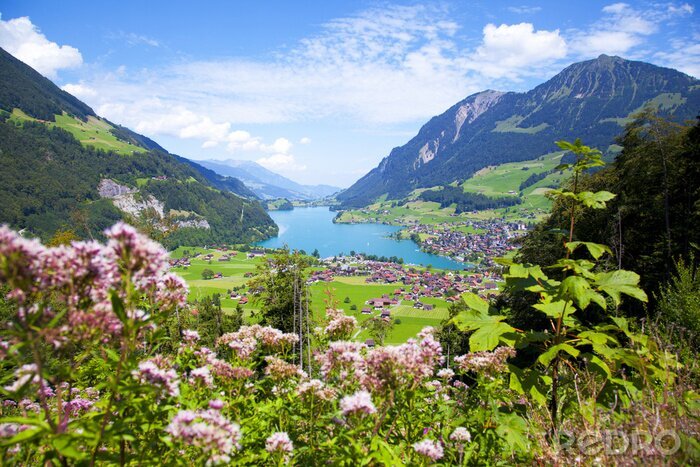 Fotobehang Bloemen en planten op een achtergrond van bergen
