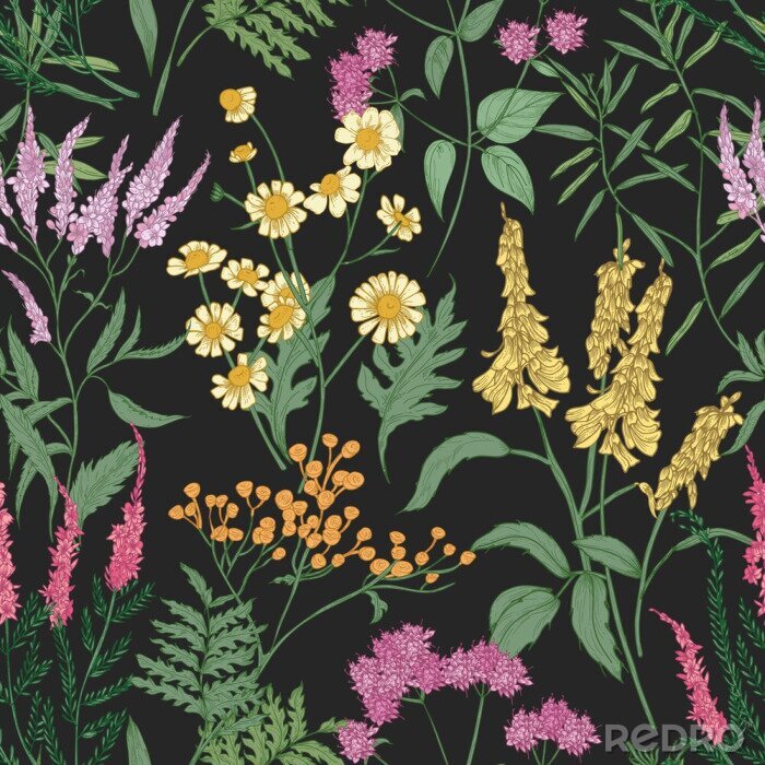 Fotobehang Bloemen in de wilde weide