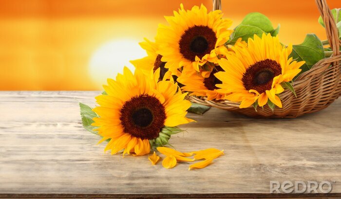 Fotobehang Bloemen in een mand