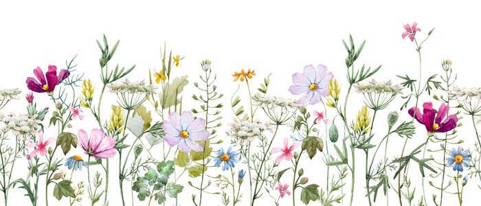 Fotobehang Bloemen op een weide