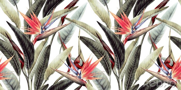 Fotobehang Bloemmotief met tropische bladeren en strelitzia-bloemen op een witte achtergrond