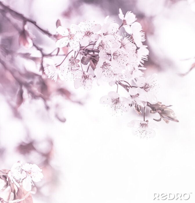 Fotobehang Bloemrijke natuur