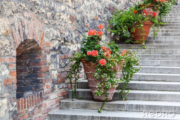 Fotobehang Blumentöpfe een einer alten Steinmauer