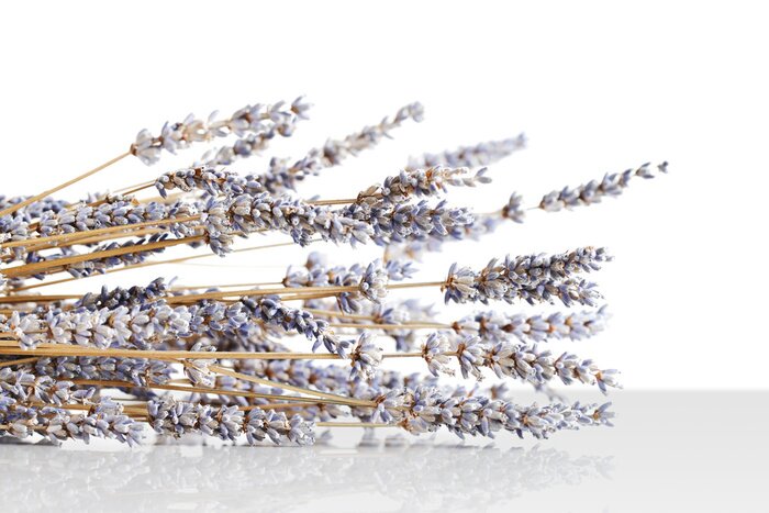 Fotobehang Boeket van gedroogde bloemen