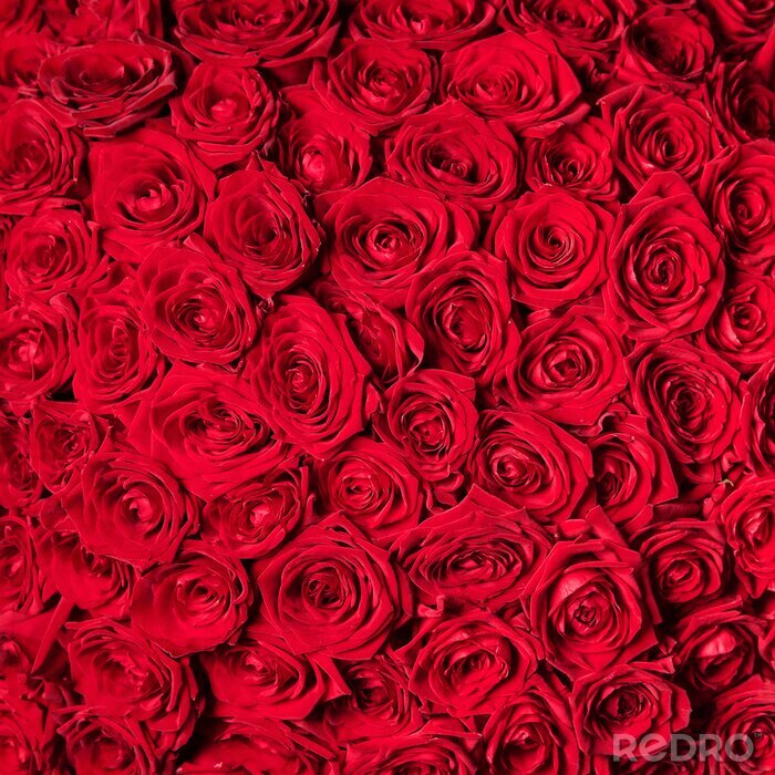 Fotobehang Boeket van rode rozen