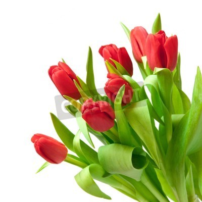 Fotobehang Boeket van rode tulpen