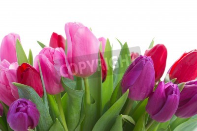 Fotobehang Boeket van roze tulpen
