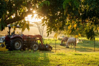 Fotobehang Boerderij Zonsondergang