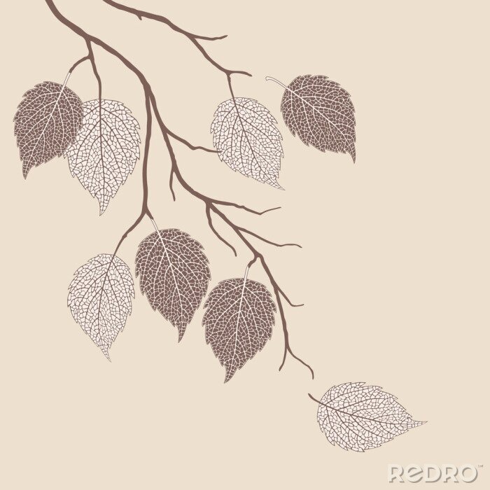Fotobehang Boho bladeren van bomen