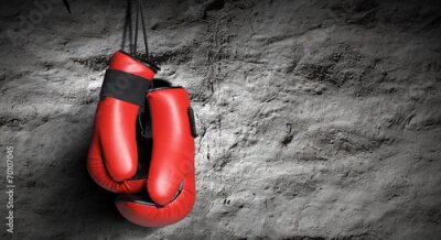 Fotobehang Bokshandschoenen