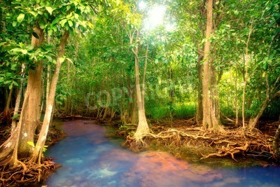 Fotobehang Bomen en een rivier in de jungle