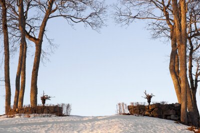 Fotobehang Bomen en winterse natuur