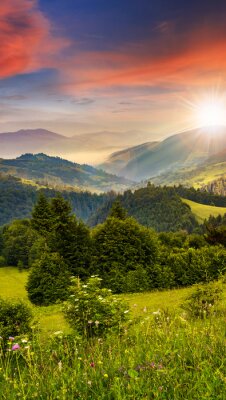 Fotobehang Bomen, groene bergen en lucht