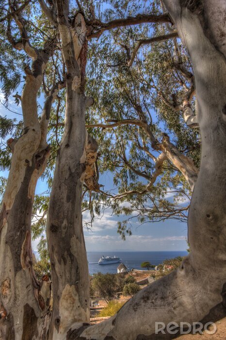 Fotobehang Bomen in Griekenland