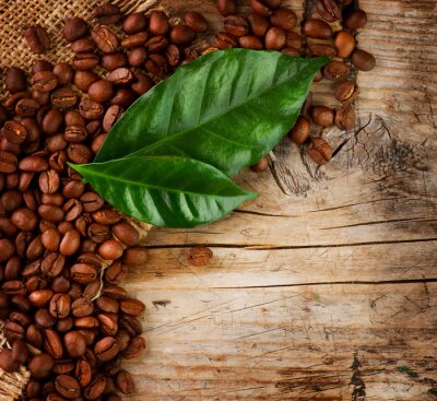 Bonen en bladeren van koffie