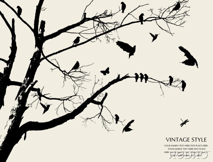 Fotobehang boom en vogel