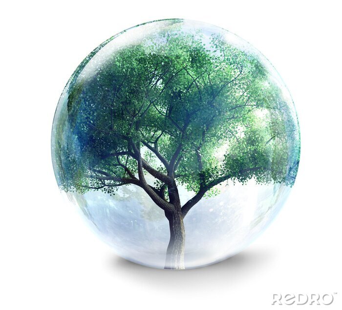 Fotobehang Boom in een kristallen bol