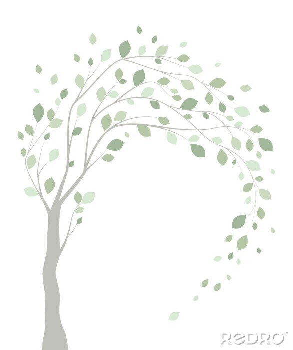 Fotobehang Boom met door de wind geteisterde takken