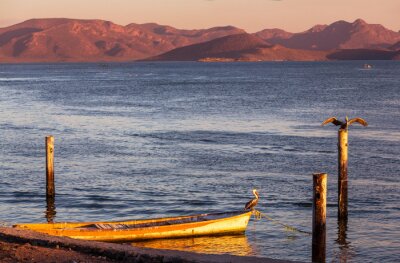 Fotobehang Boot op het water bij zonsondergang