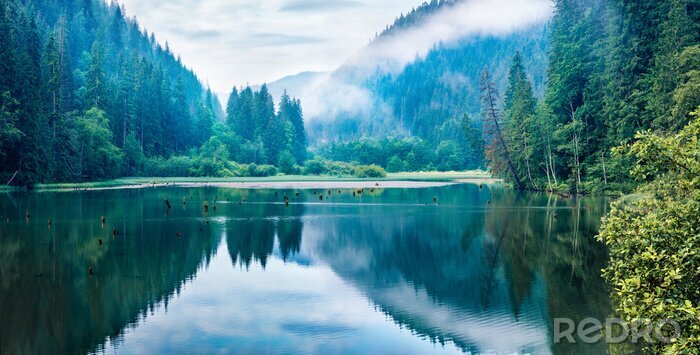 Fotobehang Bos en meer