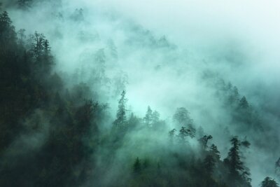 Fotobehang Bos gehuld in groene mist